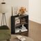 2 Tier Bookcase,Wood Open Bookshelf with Storage Shelf, Floor Standing Display Unit,Small Storage Shelves Units for Home Office, Living Room, Entryway, Kitchen - Black